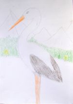 Starčok Matúš.jpg